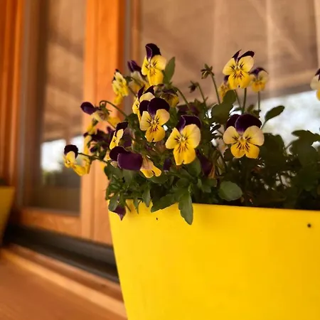 Obedska Bara - Retreat House بيت ضيافة