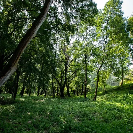 Obedska Bara - Retreat House *