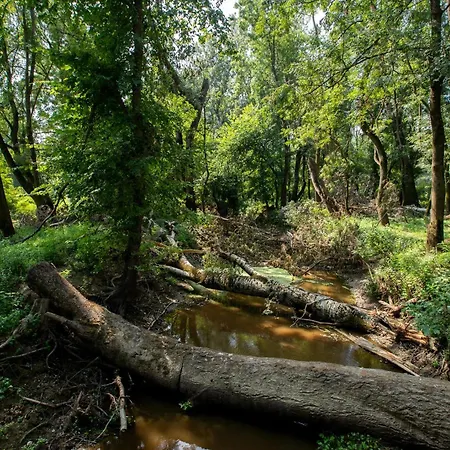 Obedska Bara - Retreat House 4* Kupinovo