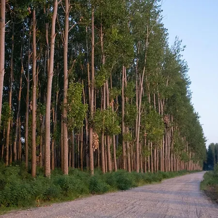 Obedska Bara - Retreat House بيت ضيافة 4*