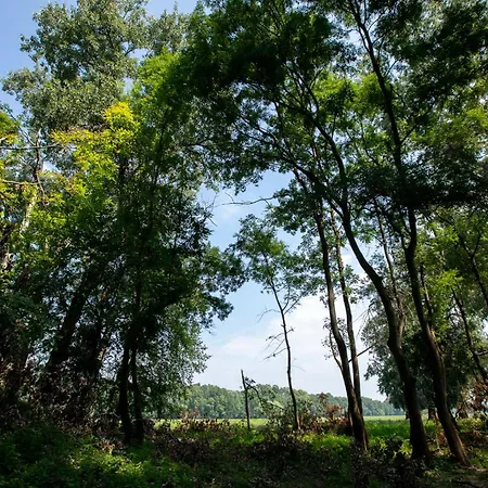 Obedska Bara - Retreat House بيت ضيافة Kupinovo