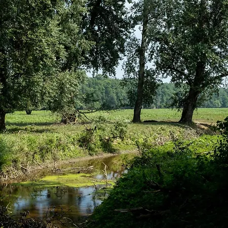 بيت ضيافة Obedska Bara - Retreat House