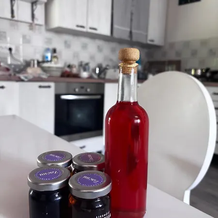 Obedska Bara - Retreat House