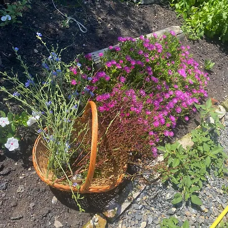 بيت ضيافة Obedska Bara - Retreat House