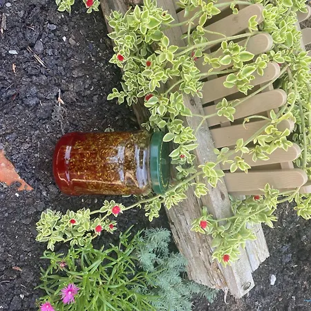 Obedska Bara - Retreat House 4*