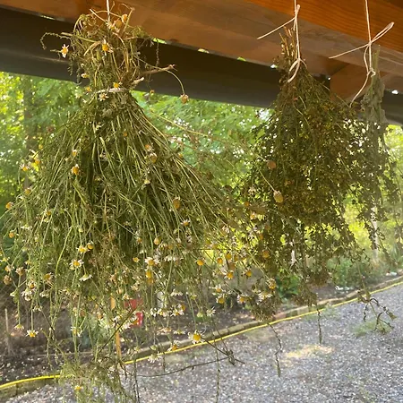 بيت ضيافة Obedska Bara - Retreat House