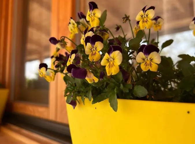 Obedska Bara - Retreat House Gasthuis