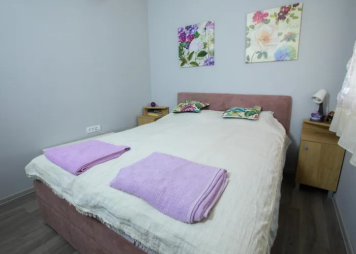 Obedska Bara - Retreat House Gasthuis Kupinovo