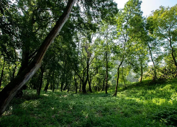 Obedska Bara - Retreat House 4*