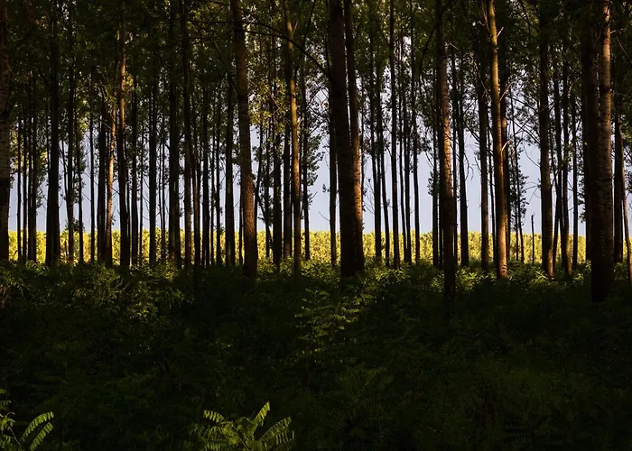 Gasthuis Obedska Bara - Retreat House