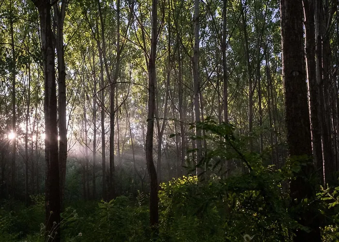 Gasthuis Obedska Bara - Retreat House
