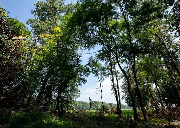 Obedska Bara - Retreat House Gasthuis Kupinovo