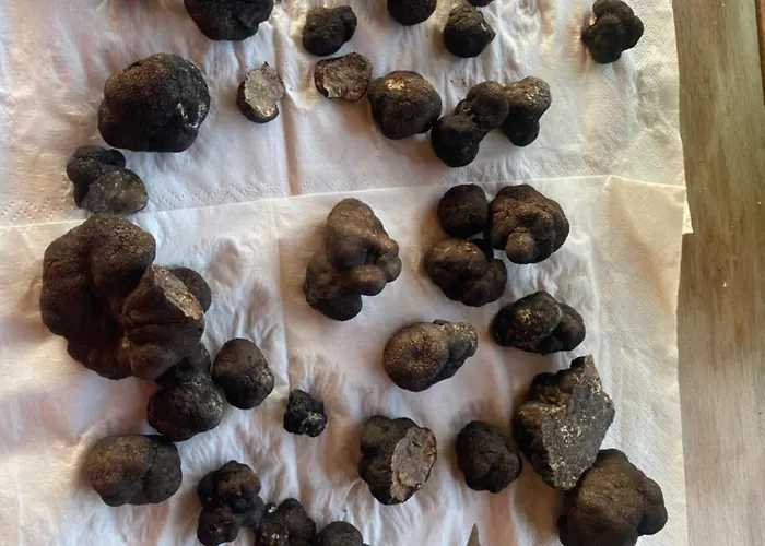 Obedska Bara - Retreat House Kupinovo