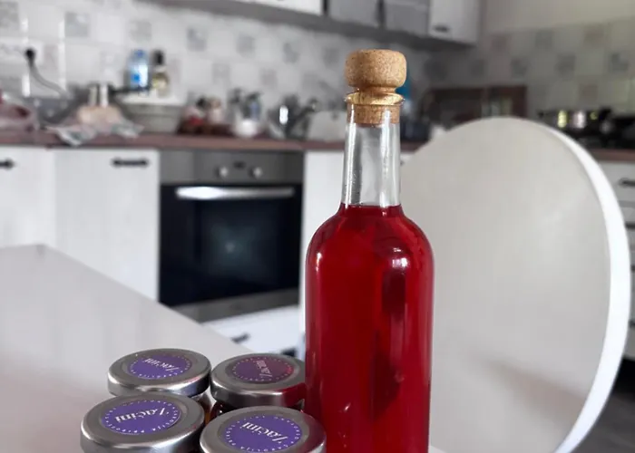 Obedska Bara - Retreat House