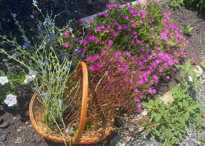 Gasthuis Obedska Bara - Retreat House