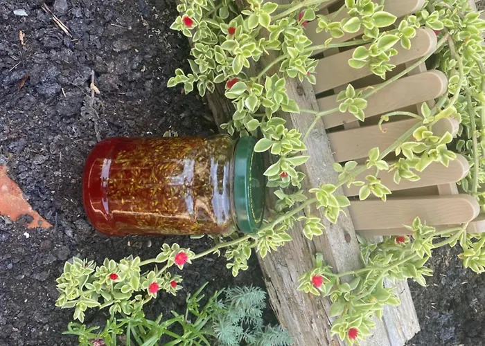 Obedska Bara - Retreat House 4*